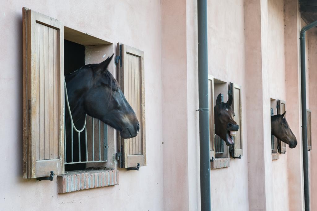 San Giacomo Horses & Agriturismo Arluno Exterior foto